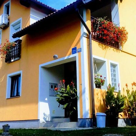 Apartment Medeni Rakovica Bagian luar foto
