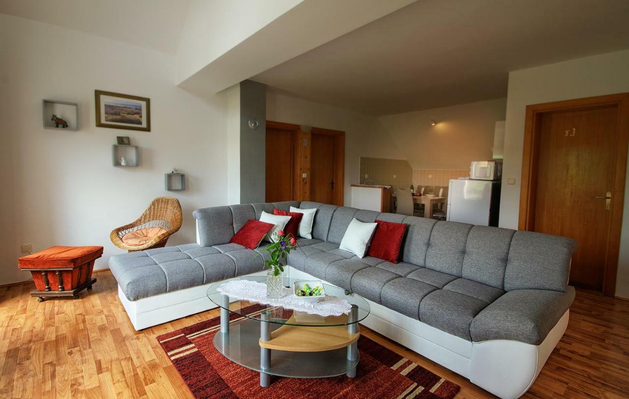 Apartment Medeni Rakovica Bagian luar foto