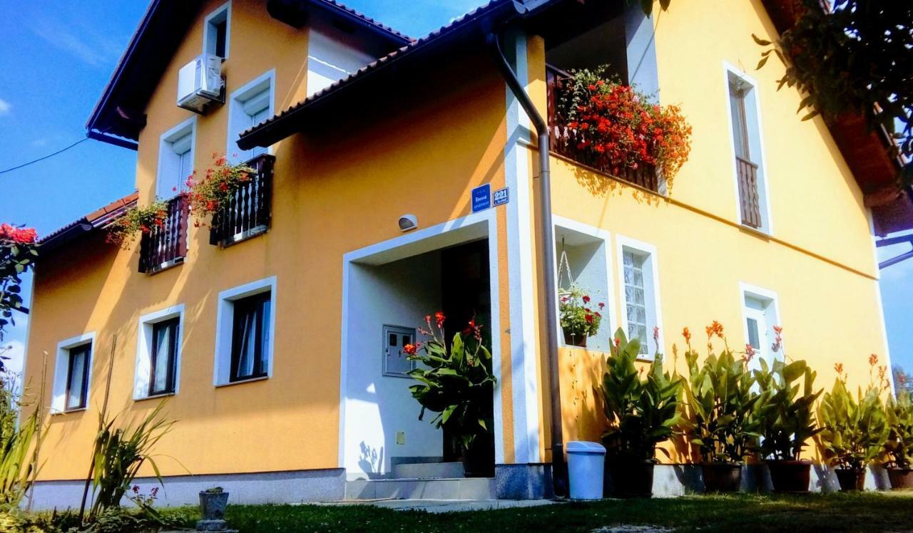 Apartment Medeni Rakovica Bagian luar foto
